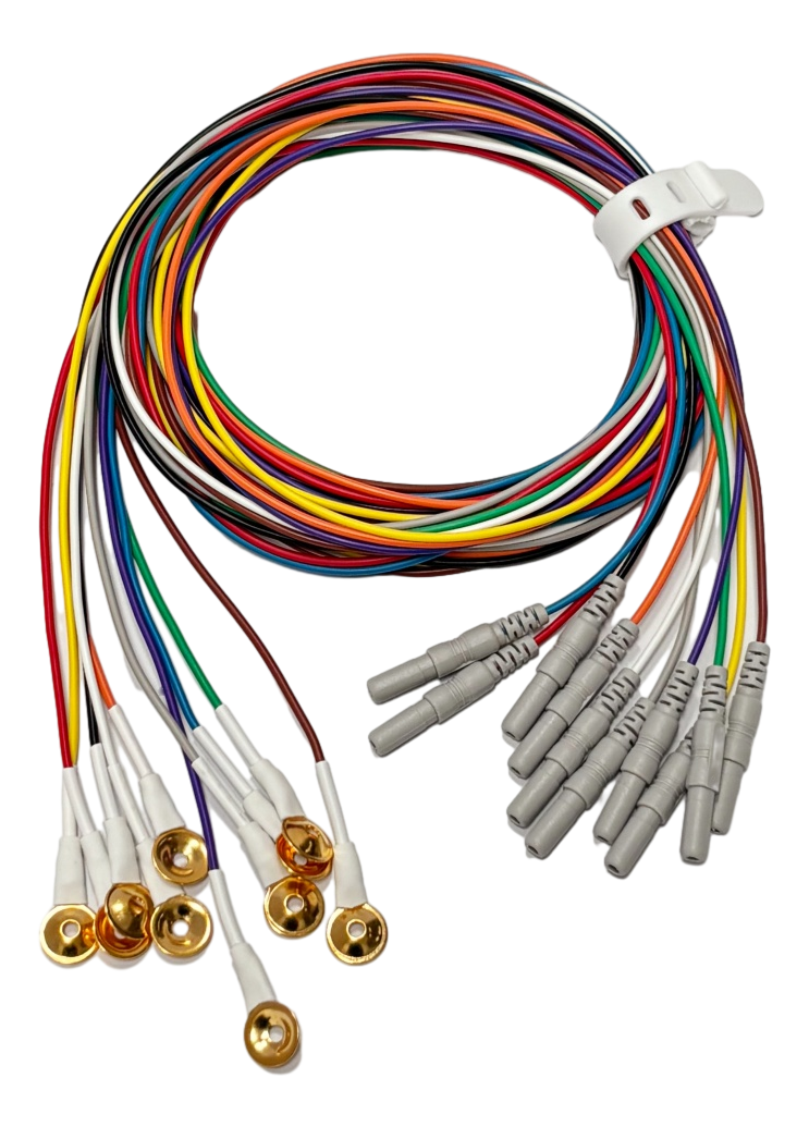 Electrodos EEG/EMG
